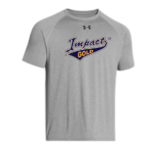 UA Grey Dri-Fit 2.0 | Limited Sizes Available